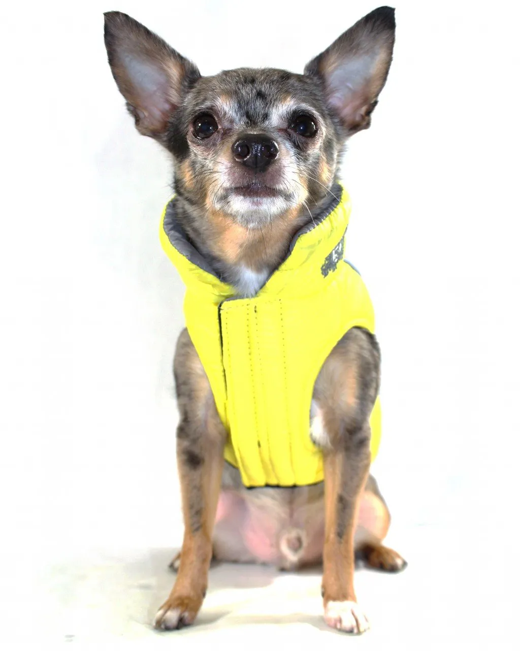 Reversible Winter Dog Jacket - Hip Doggie Featherlite Reversible-Reflective Puffer Vest Yellow/Grey