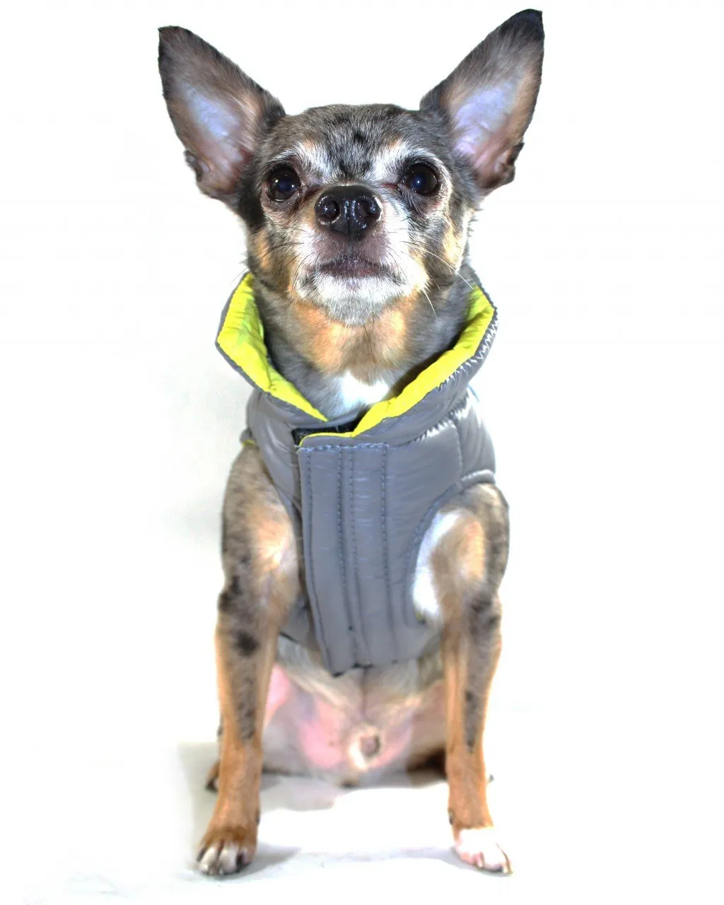 Reversible Winter Dog Jacket - Hip Doggie Featherlite Reversible-Reflective Puffer Vest Yellow/Grey